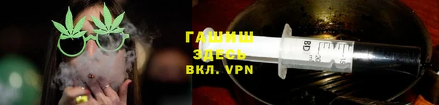 прущие грибы Волоколамск