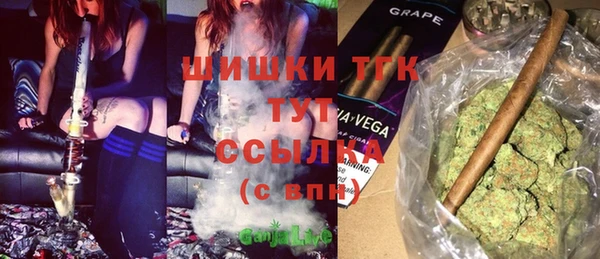СК Вяземский