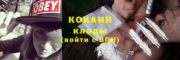 СК Вяземский