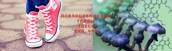 СК Вяземский