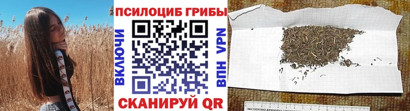Галлюциногенные грибы Cubensis  Купить  Малгобек 